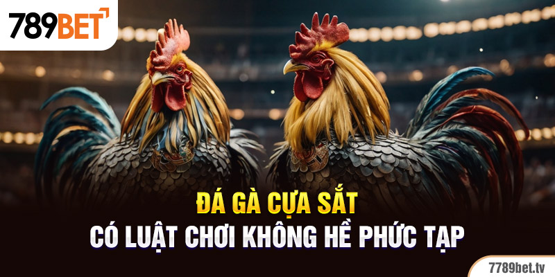 Luật chơi đá gà cựa sắt cho tân thủ 789BET nắm rõ