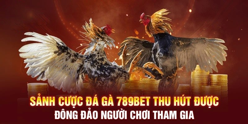 Đá gà 789Bet vừa có tính giải trí, vừa có cơ hội săn thưởng cao